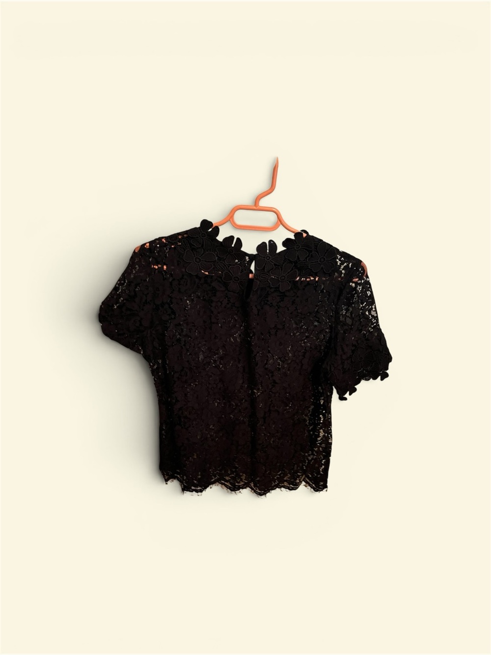 Black Lace Short-Sleeve Women's Top